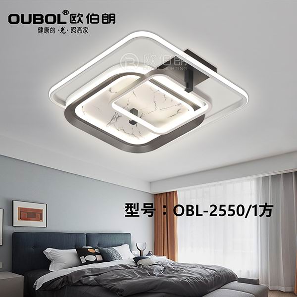 時(shí)尚臥室燈 2550